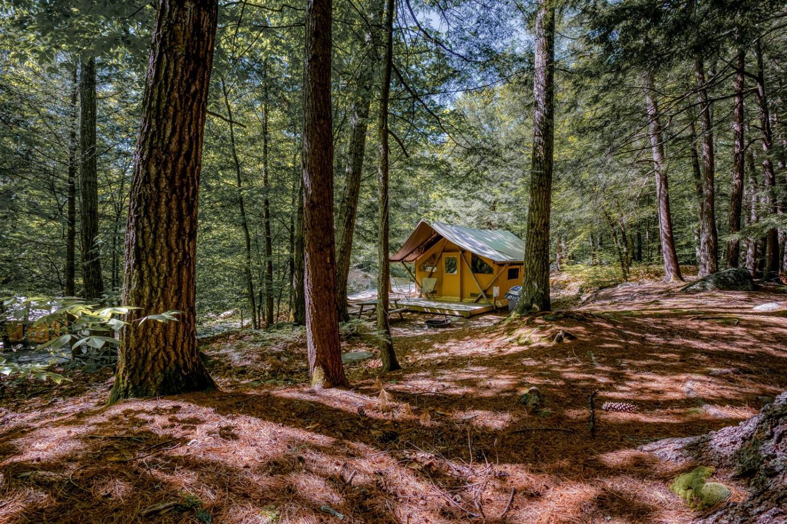 Huttopia White Mountains Albany Buitenkant foto